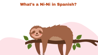 What’s a Ni-Ni in Spanish?