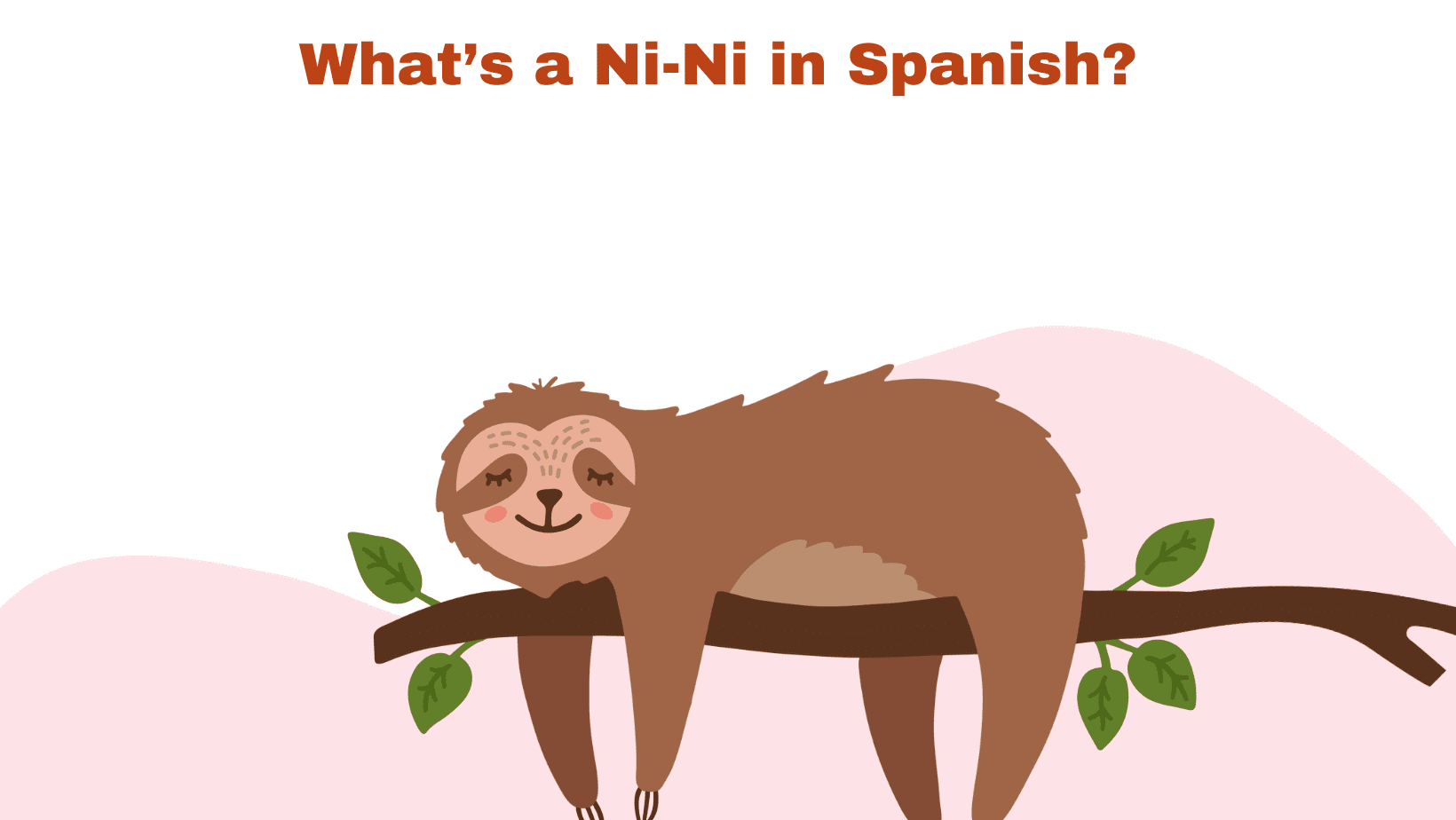 WHAT’S A NINI in SPANISH? Kasa De Franko