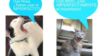 Learn the Imperfect and the Preterit in Spanish with Michi: Mi Perro-Gato!